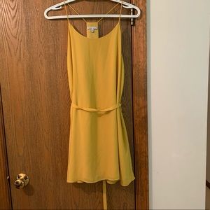 Naked Zebra Sleeveless Mini Dress